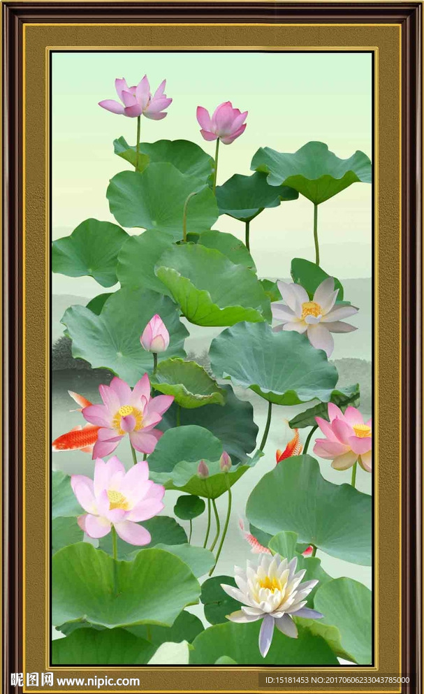 荷花图