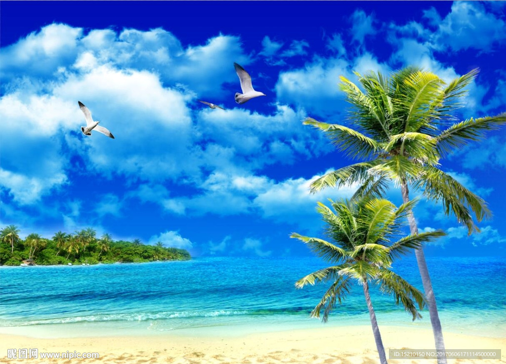 海滩椰子树风景