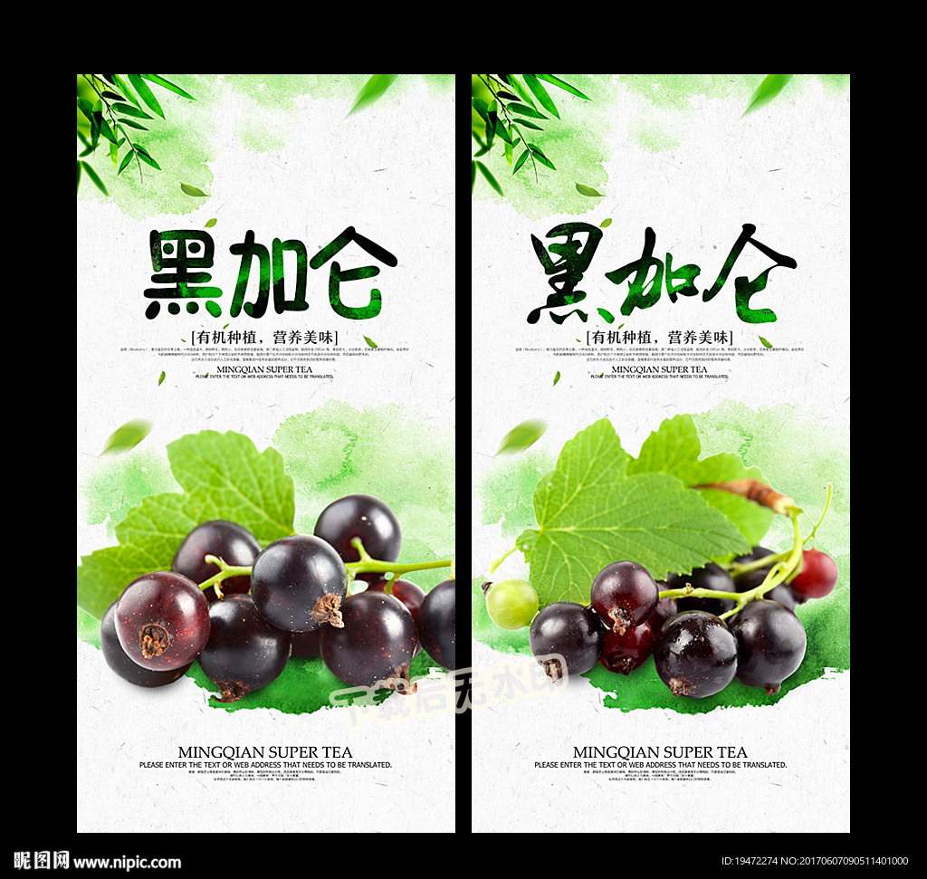 黑加仑