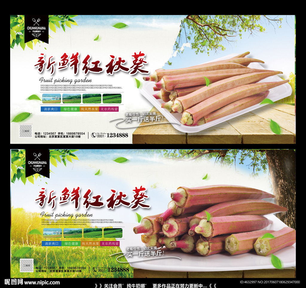 红秋葵