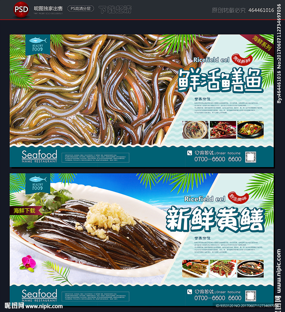 鳝鱼