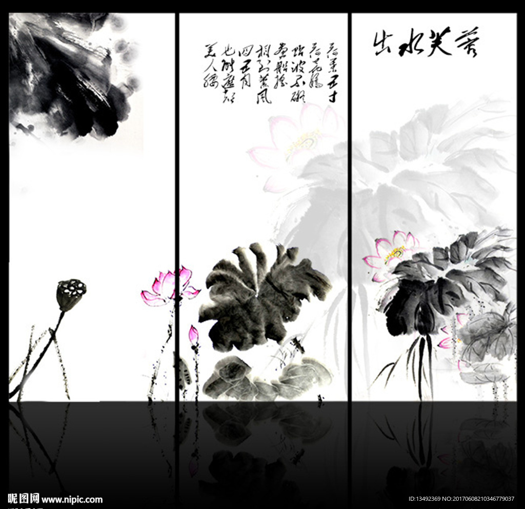 荷花