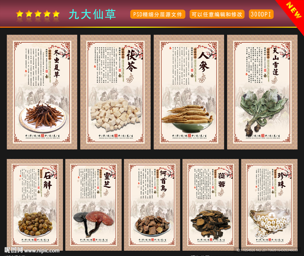 九大仙草