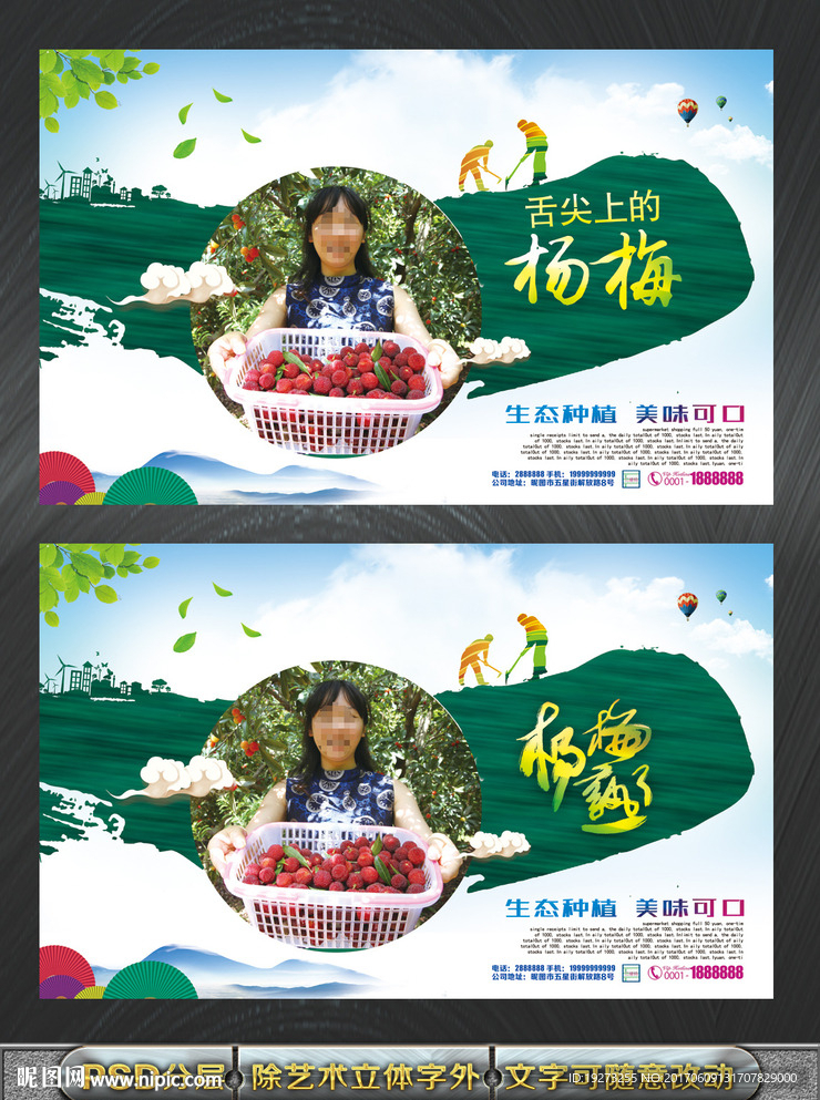 杨梅