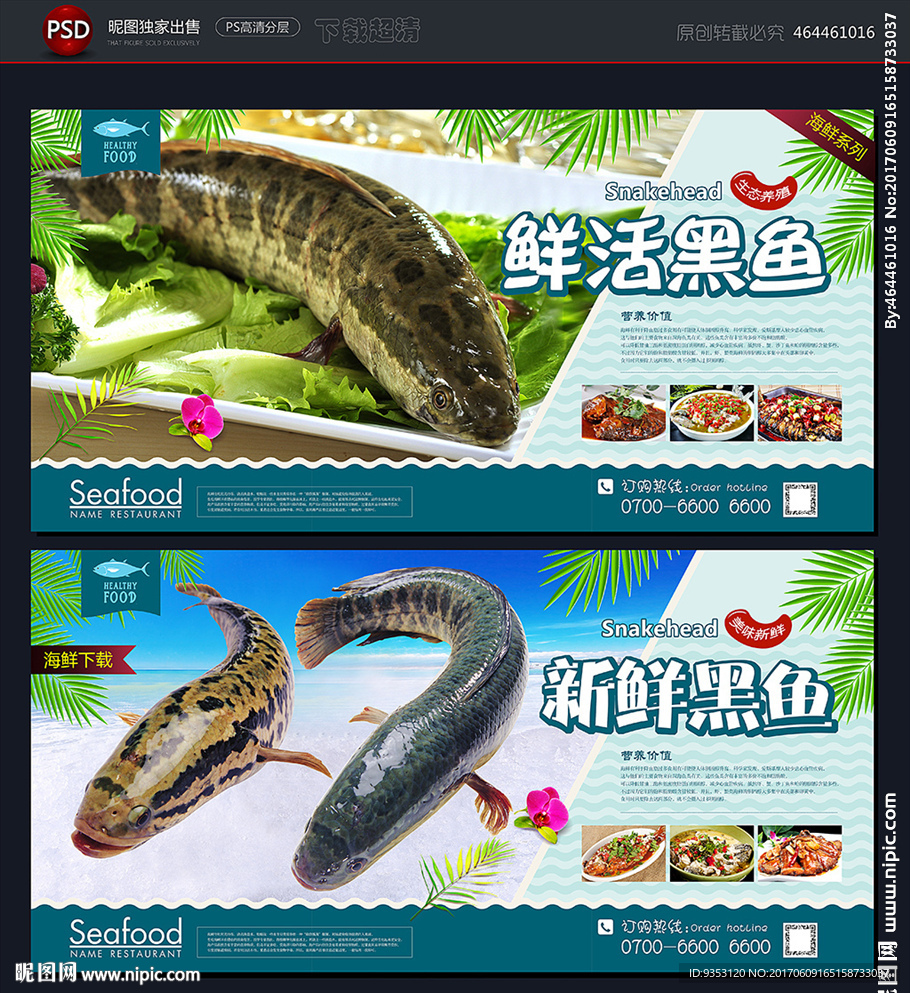 黑鱼