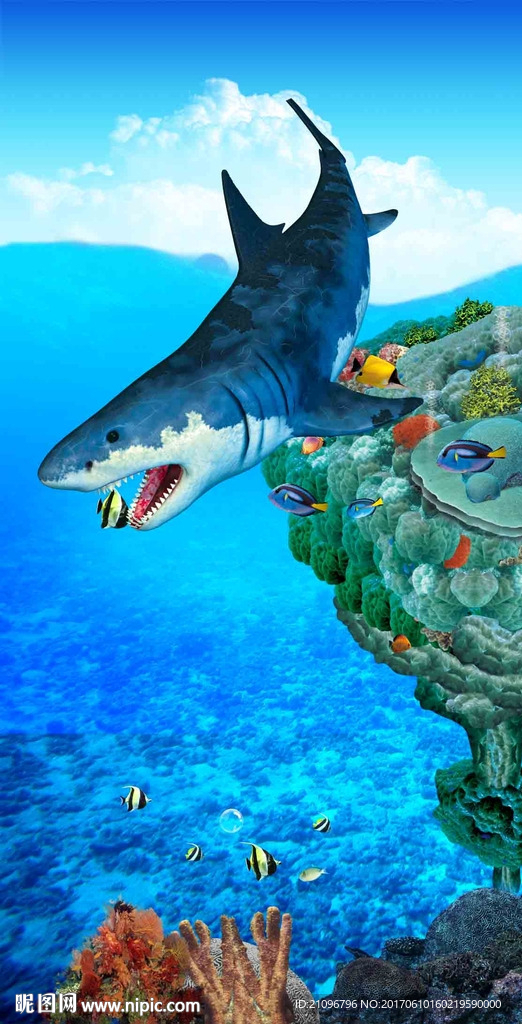 海豚玄关