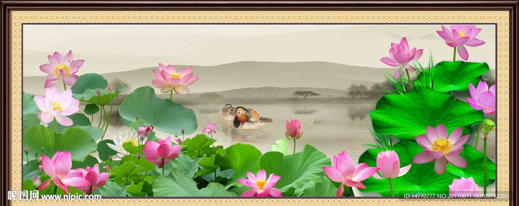 荷花图