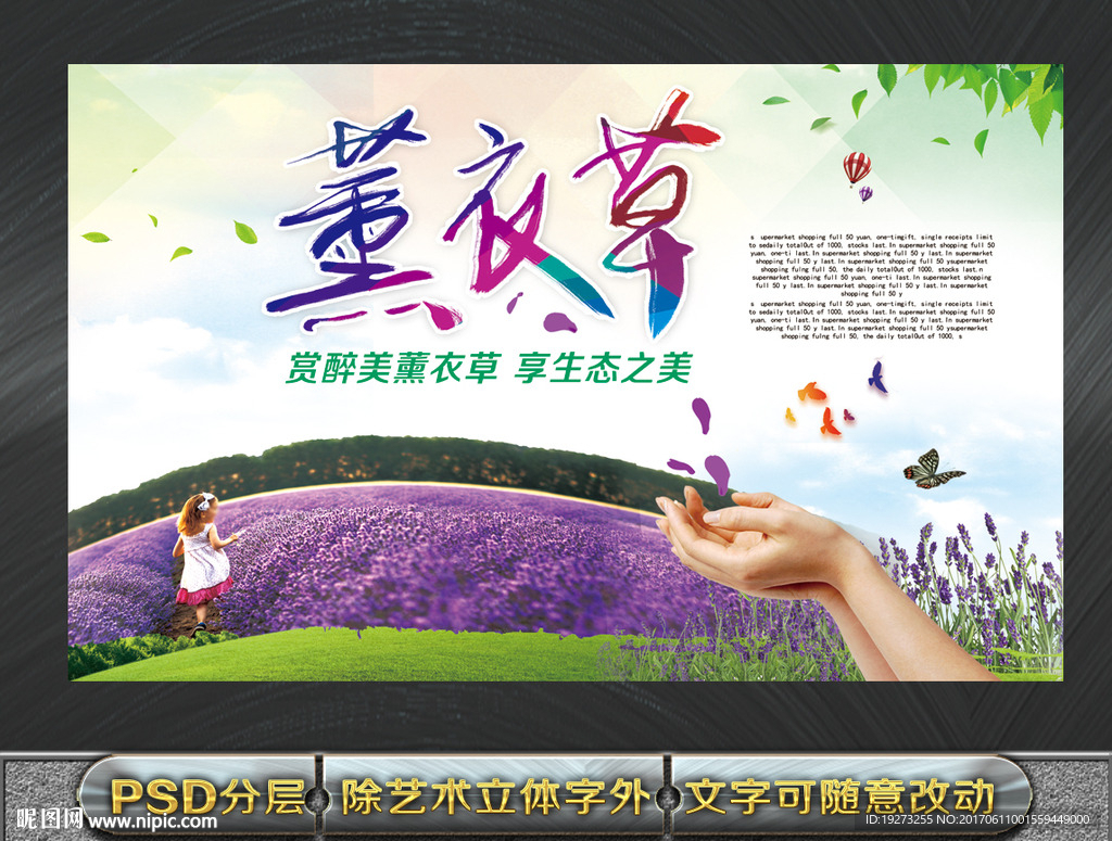 薰衣草