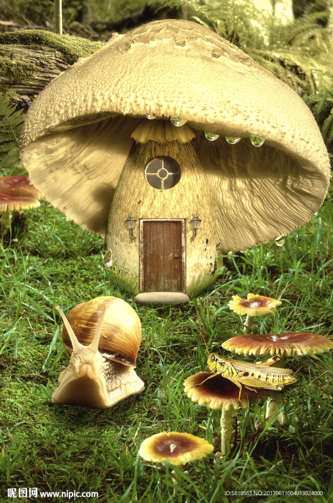 梦幻仙境蘑菇童话世界