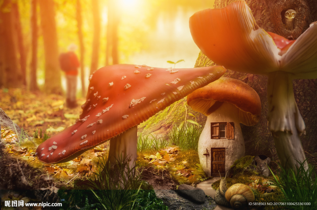 童话世界蘑菇城