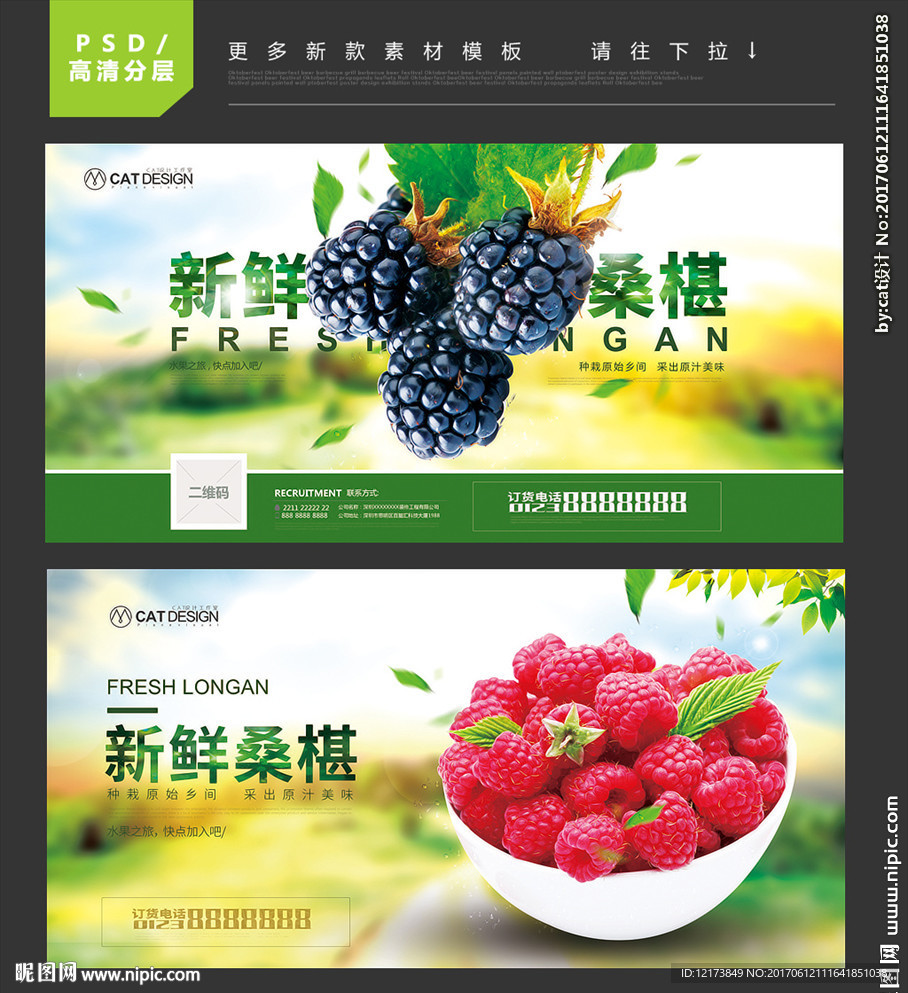 桑葚