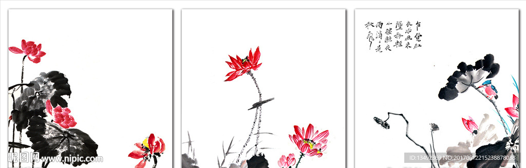 荷花