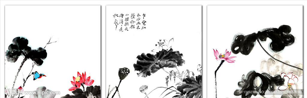 荷花
