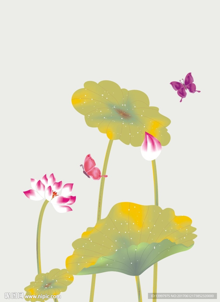 荷花
