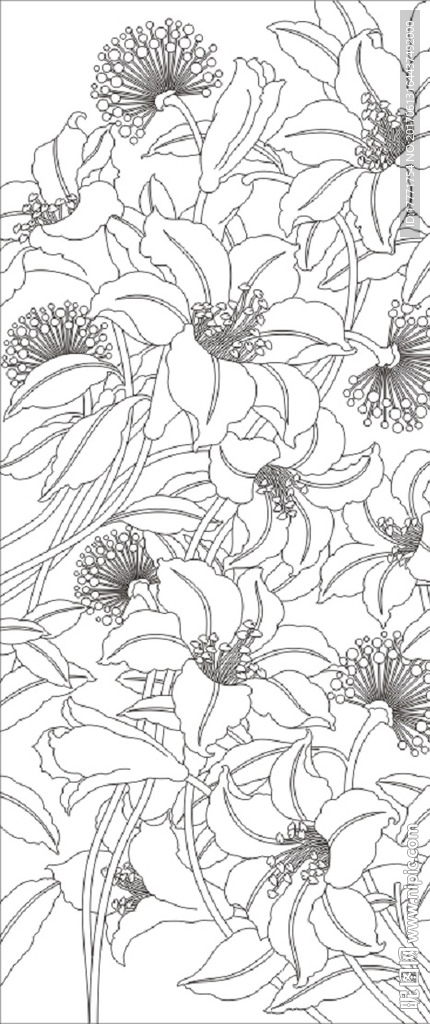 百合花
