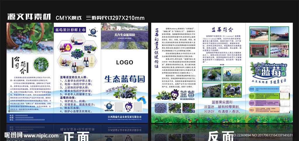 蓝莓三折页宣传单