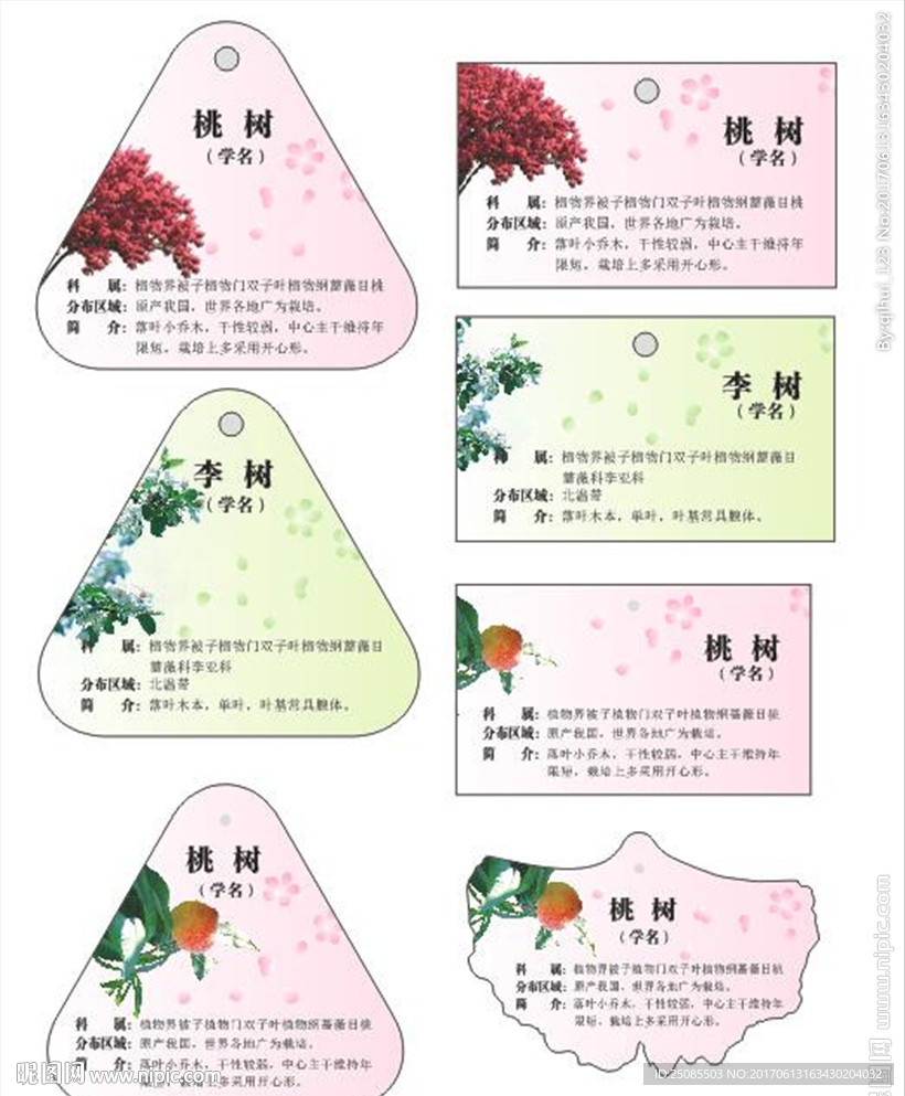 吊牌