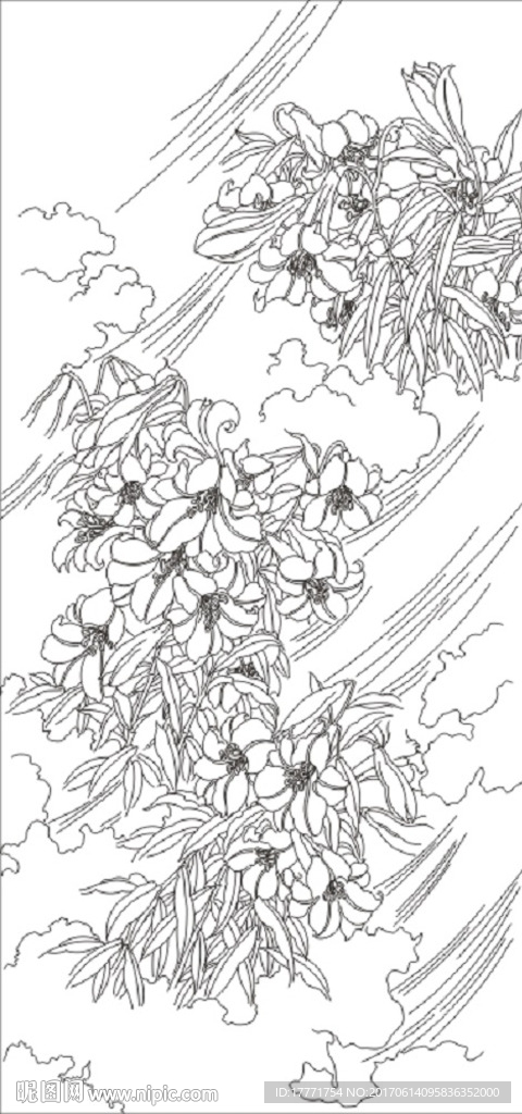 百合花
