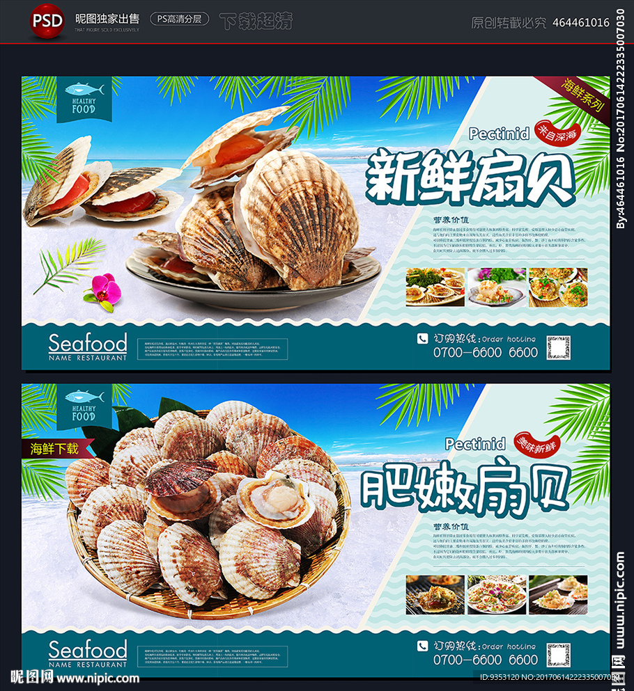 扇贝