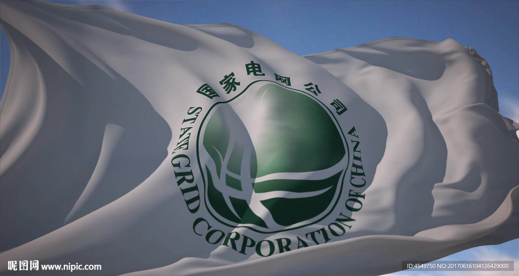 国家电网