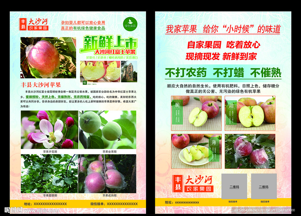 丰县大沙河苹果单页