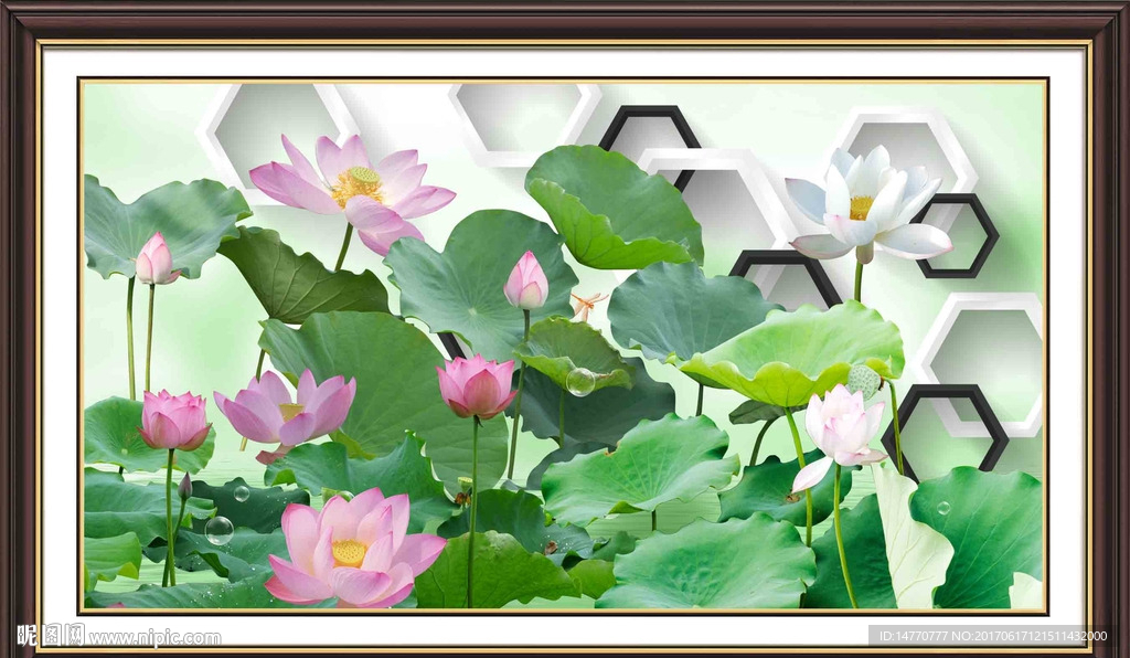 荷花3d图