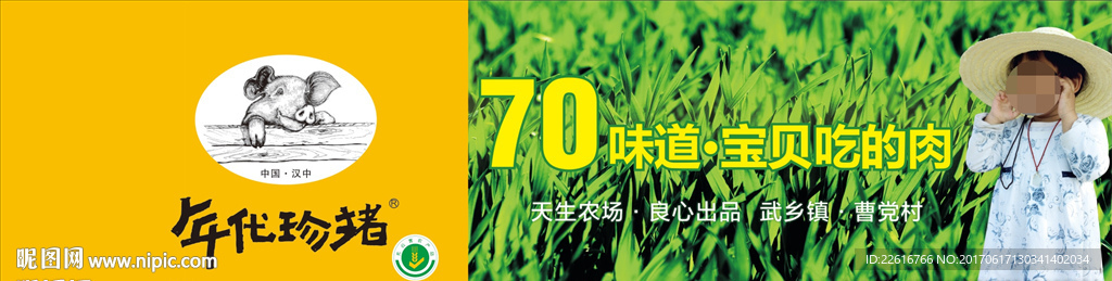 年代珍猪