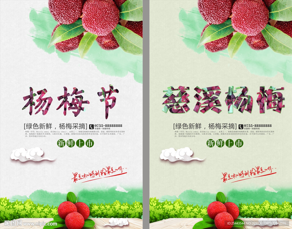 杨梅节