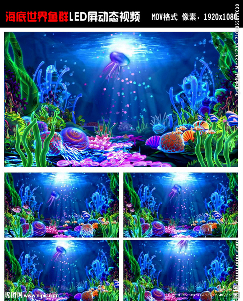 海洋系 海底世界 鱼群