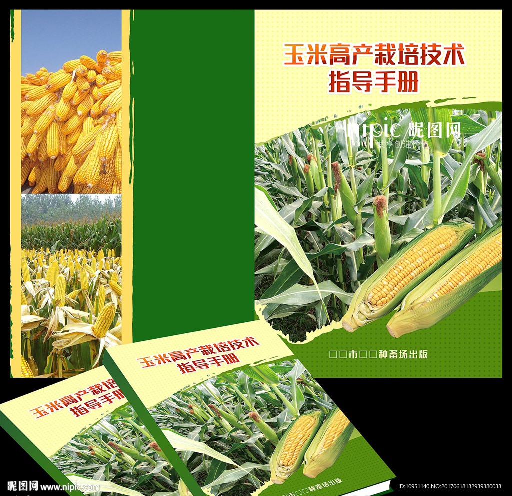 玉米栽培技术指导