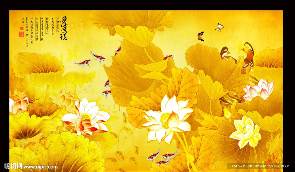 金色荷花