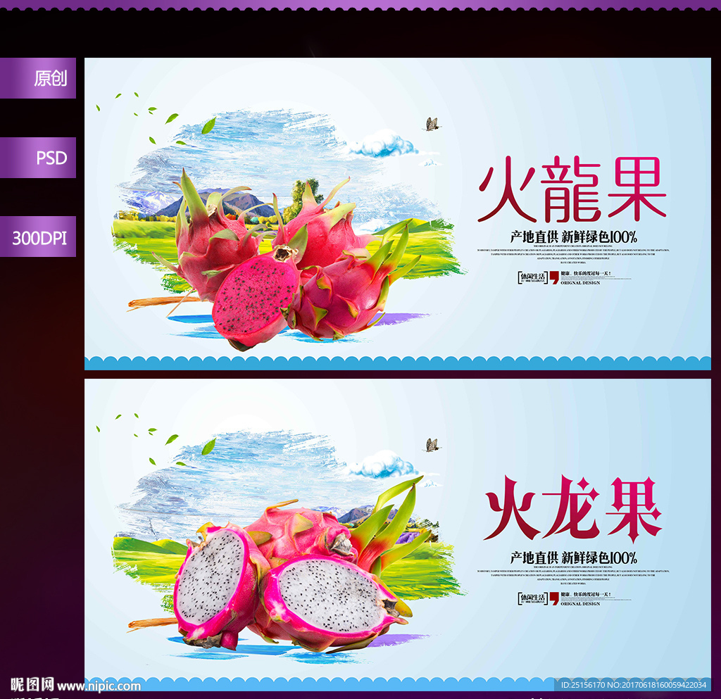 火龙果