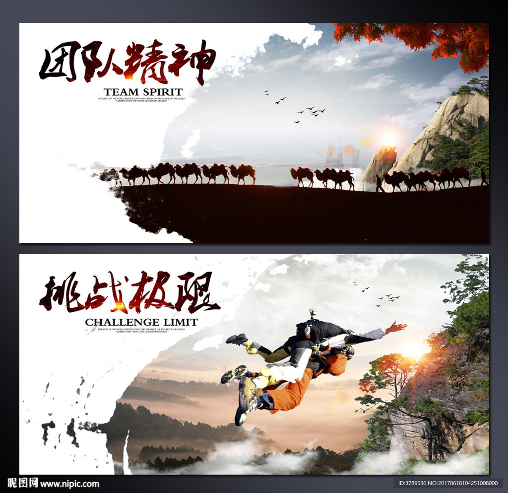 团队