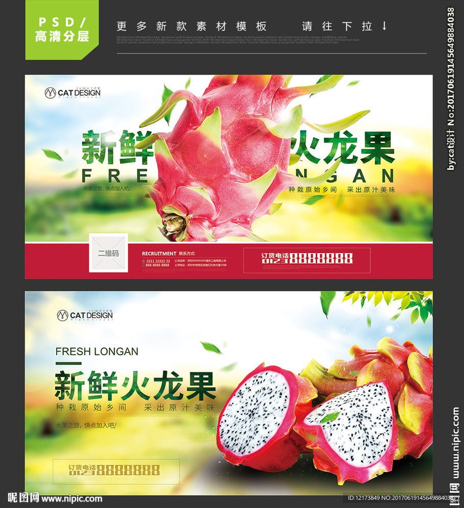 火龙果