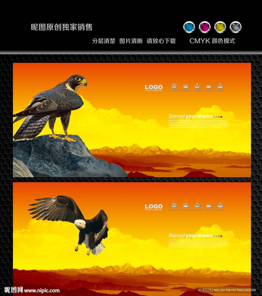 鹰