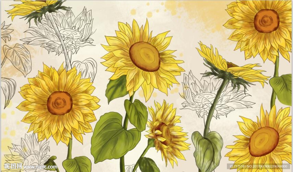 手绘向日葵