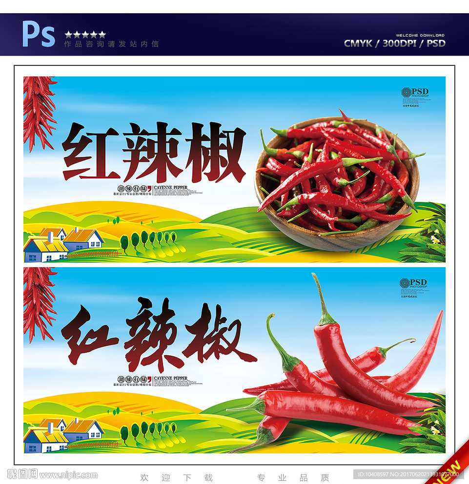 红辣椒