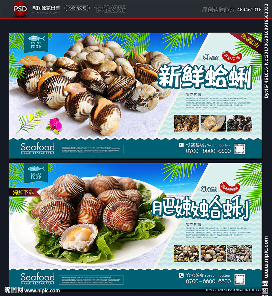 毛蛤蜊