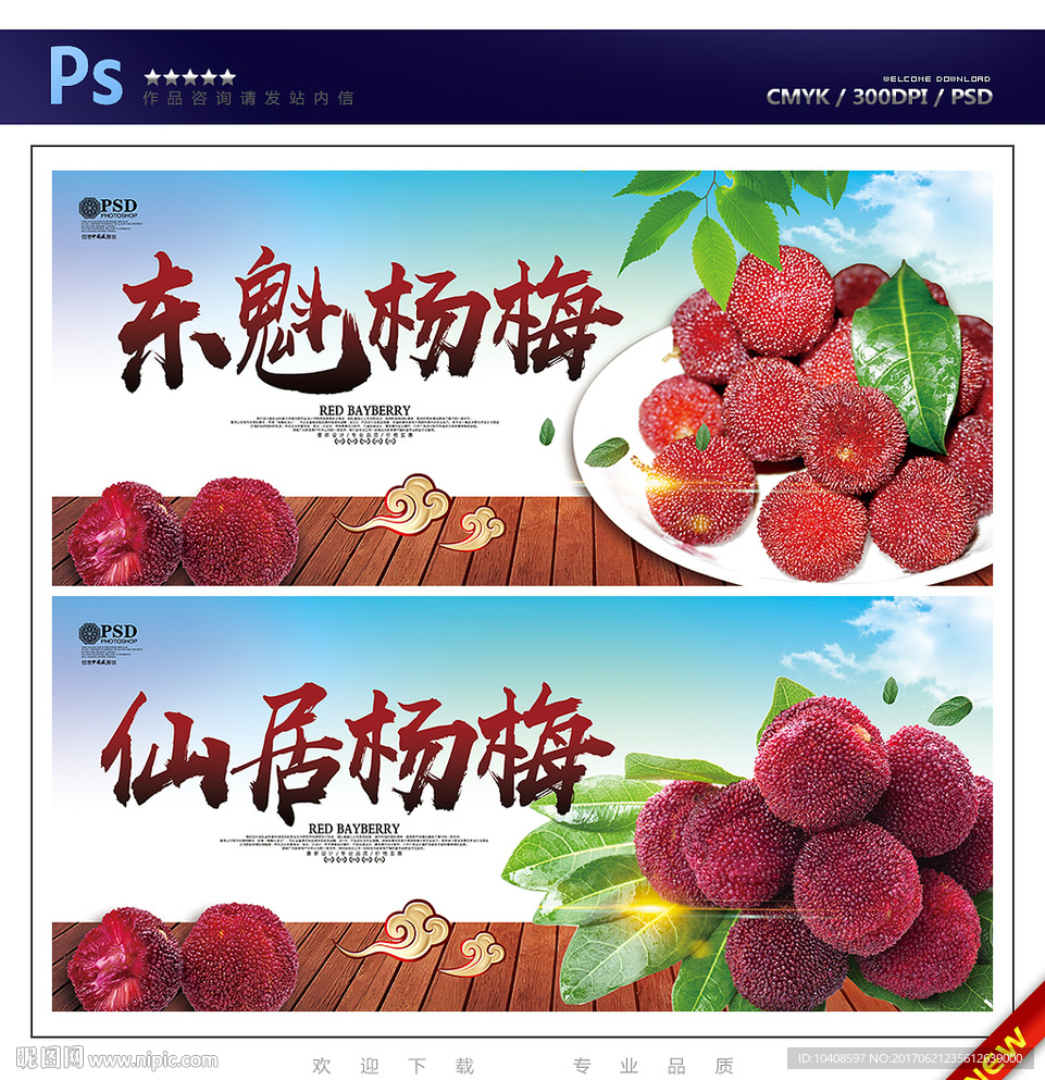杨梅