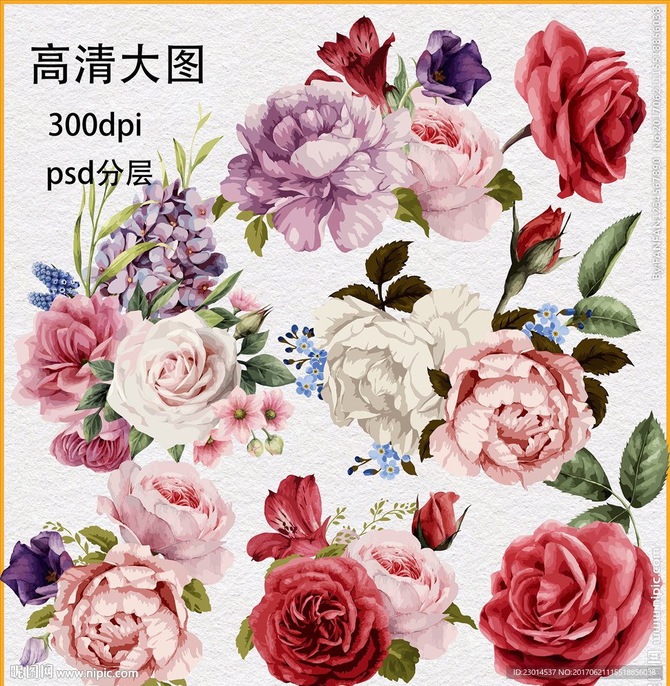 超清水彩花卉植物素材