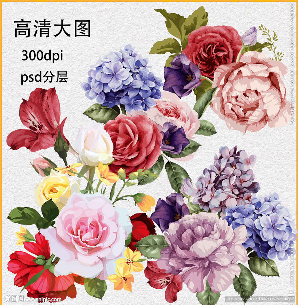 超清水彩花卉植物素材