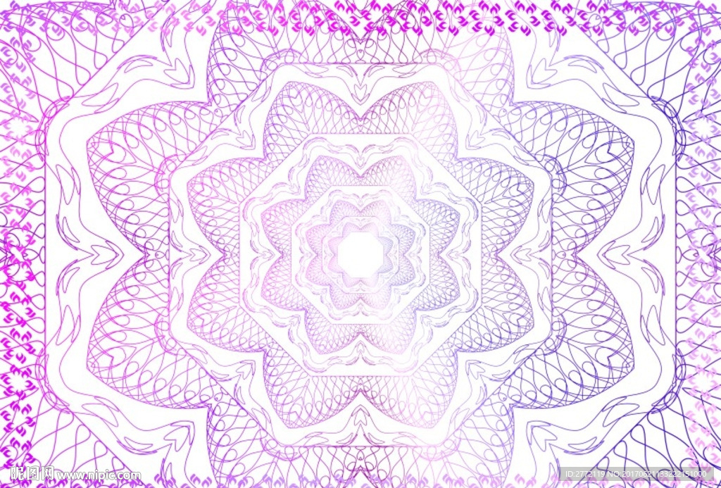 紫玫瑰 网络证书纹