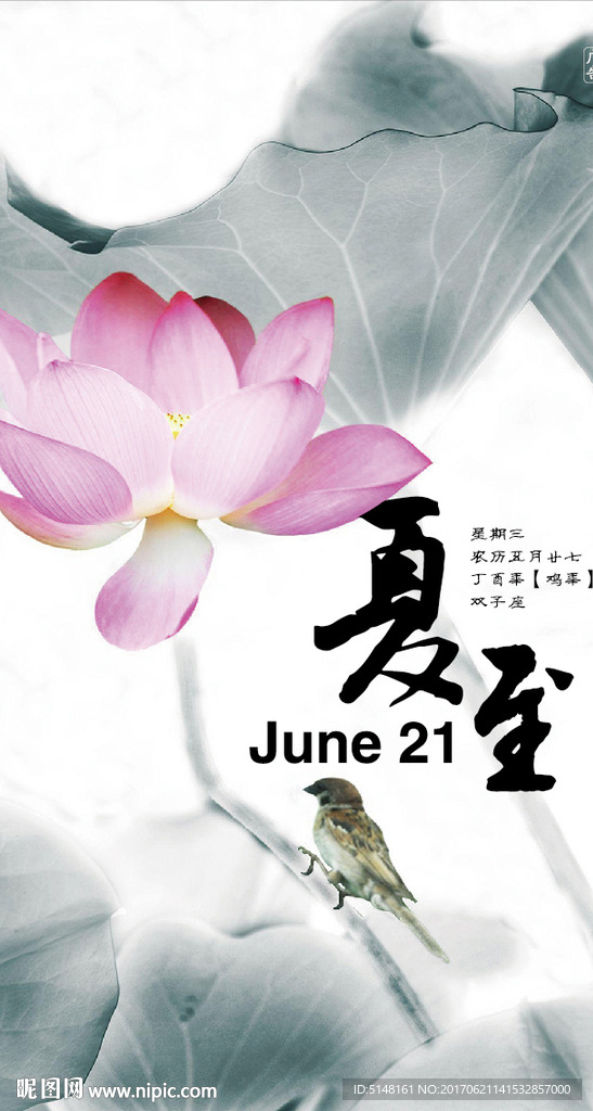 荷花 夏至 夏日 素雅 微信稿