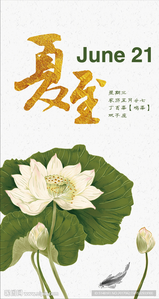 荷花 夏至 夏日 素雅 微信稿