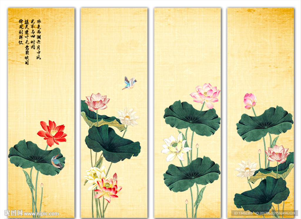 高清荷花