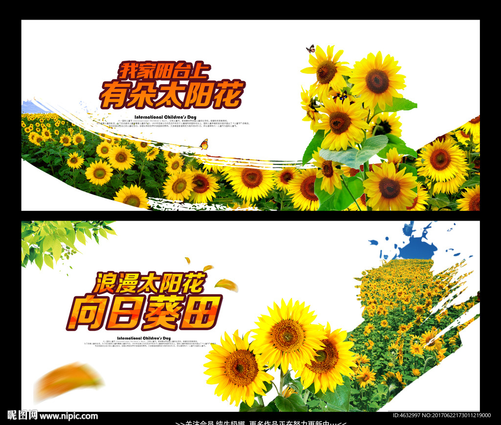 向日葵