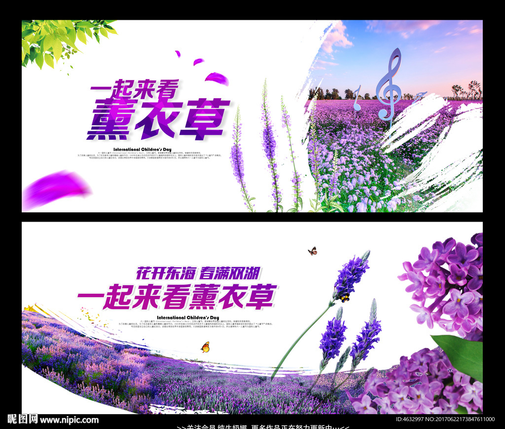 薰衣草
