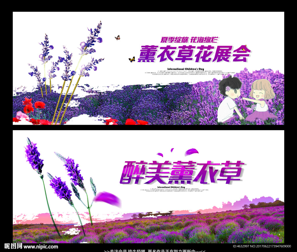 薰衣草