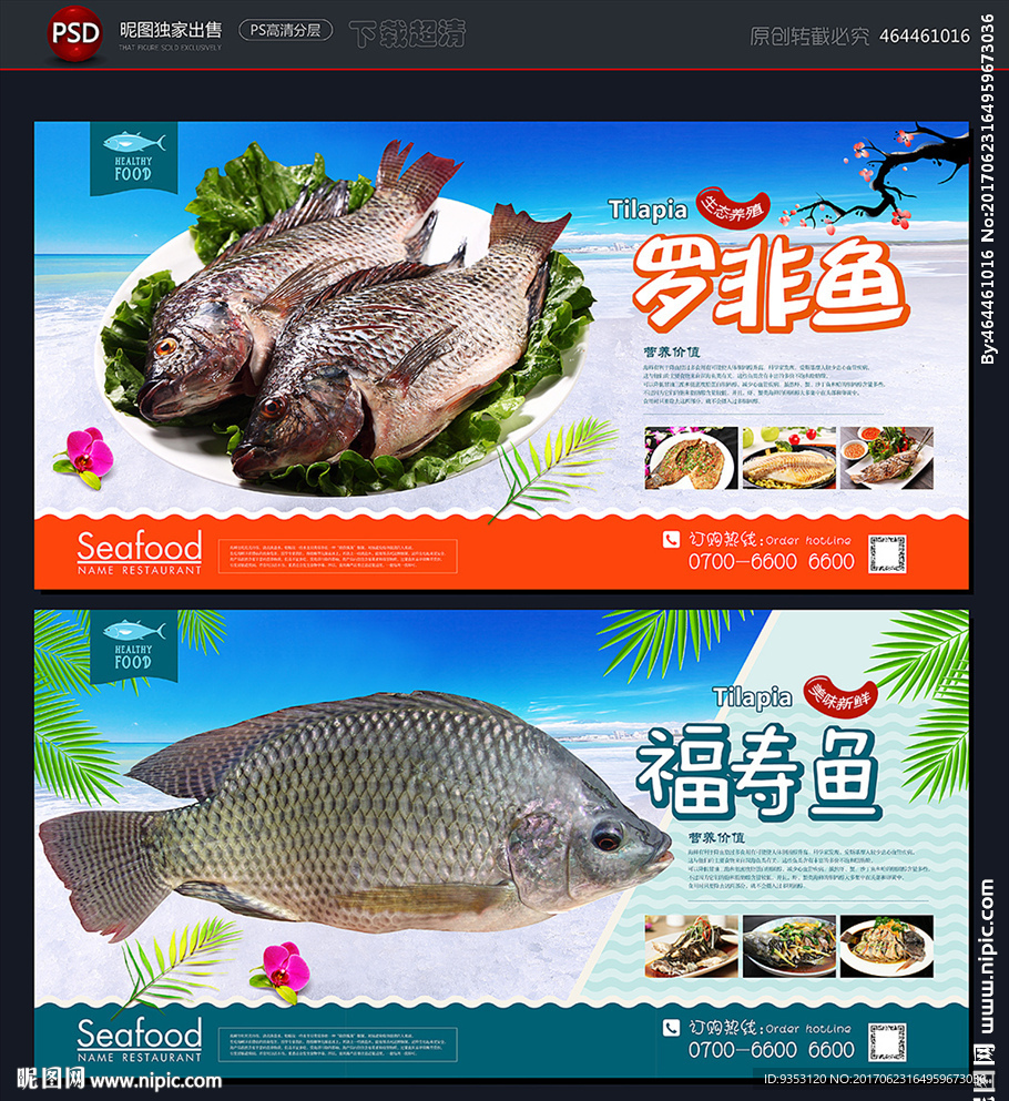 福寿鱼
