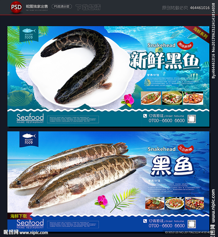 黑鱼